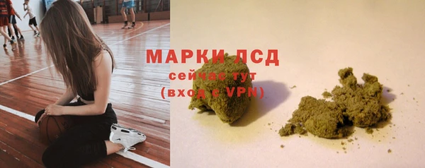 прущие крисы Лабытнанги