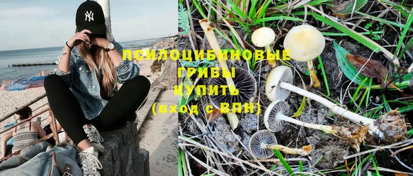 a pvp Липки
