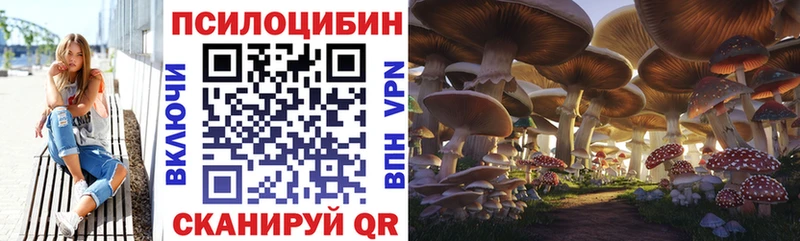 МЕГА   Шиханы  мориарти клад  Псилоцибиновые грибы Psilocybine cubensis 
